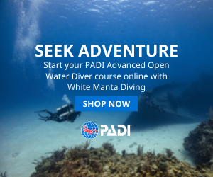 Advanced Open Water course online